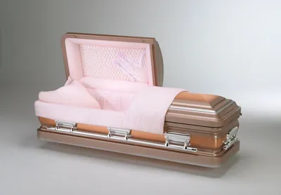 Princess Diana Copper - Pink Chiffon Interior