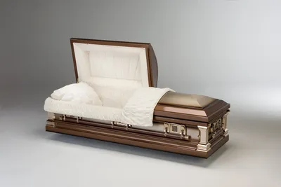 Adams Stainless - Beige Velvet Interior