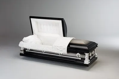 Onyx Stainless - White Velvet Interior