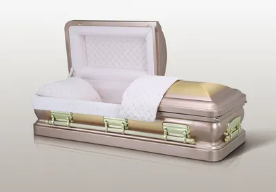 Camille Bronze - Misty Rose Velvet Interior